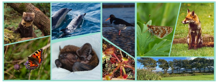 Biodiversity planning session