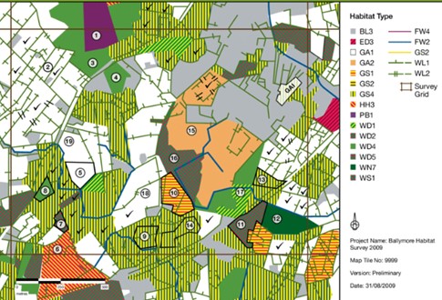 Habitat survey in progress